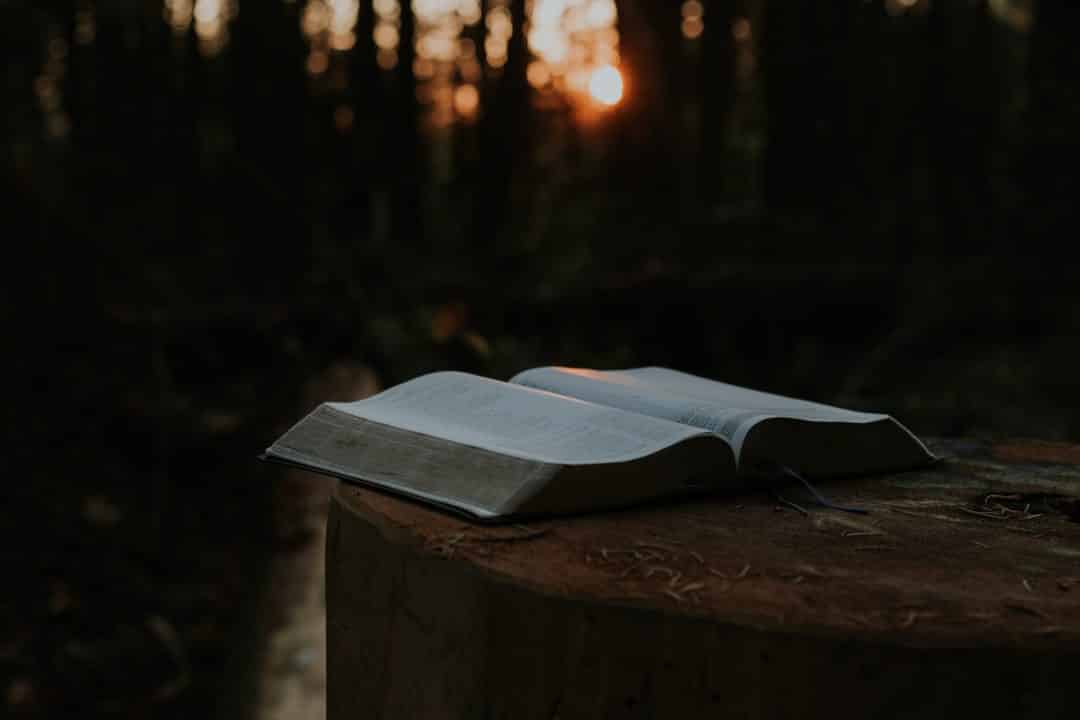 Banner de Cuáles son las pruebas bíblicas de que Jesús es Dios